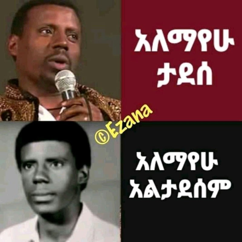 ዘና.) 3 ታደሰ , ን »፣ መተ ለለ፤፡ አልታደሰም 